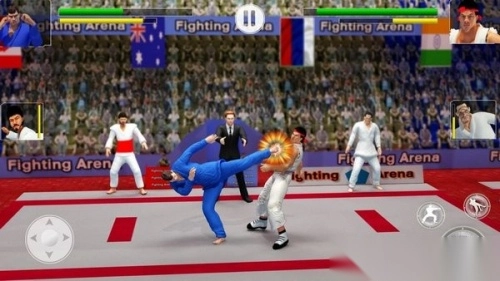 功夫大师手机版