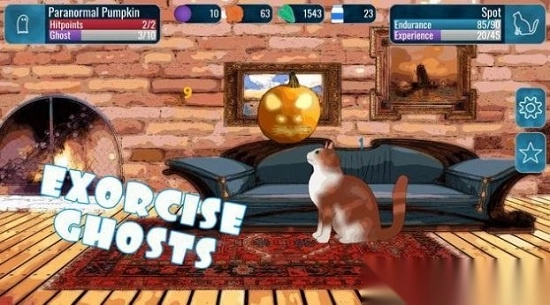 盯着鬼魂的猫图2