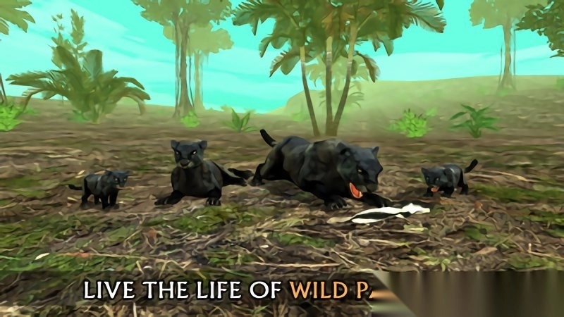 黑豹模拟器-图1