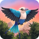 鸟类世界BirdKind