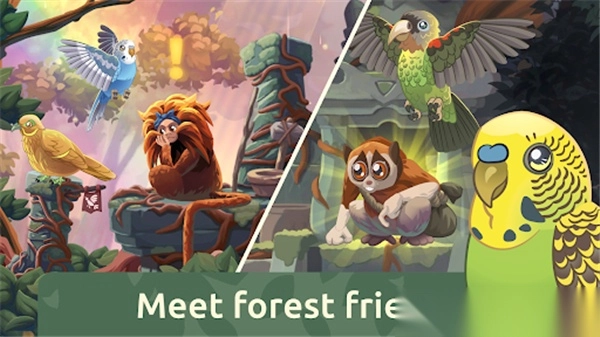 鸟类世界BirdKind