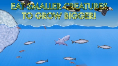 品尝深蓝安卓版