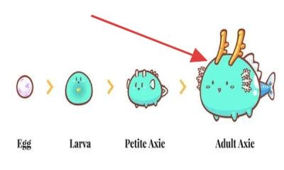 axie幻想生物手机版下载