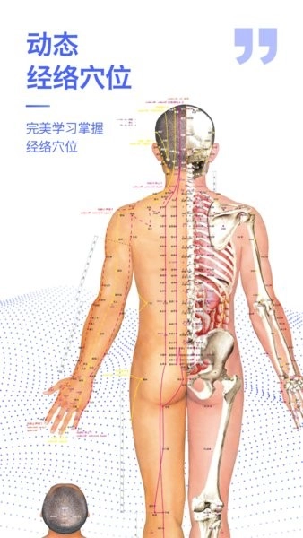 人体3D解剖图谱手机版
