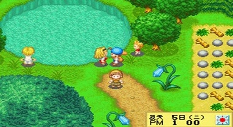 牧场物语精灵驿站女孩