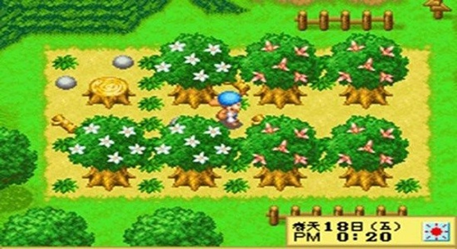 牧场物语精灵驿站女孩