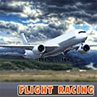 驾驶飞行模拟器 v1.0