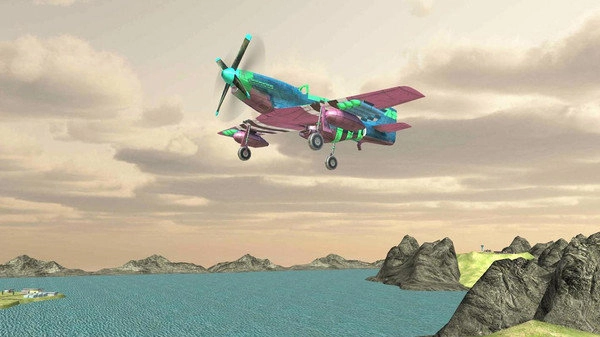 驾驶飞行模拟器(3)