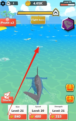 空闲的鲨鱼世界(2)