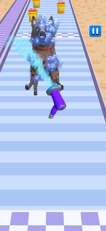 宠物照顾跑-图2