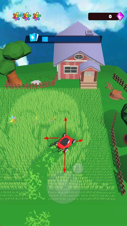 我家草坪出现了奇怪的图案图1