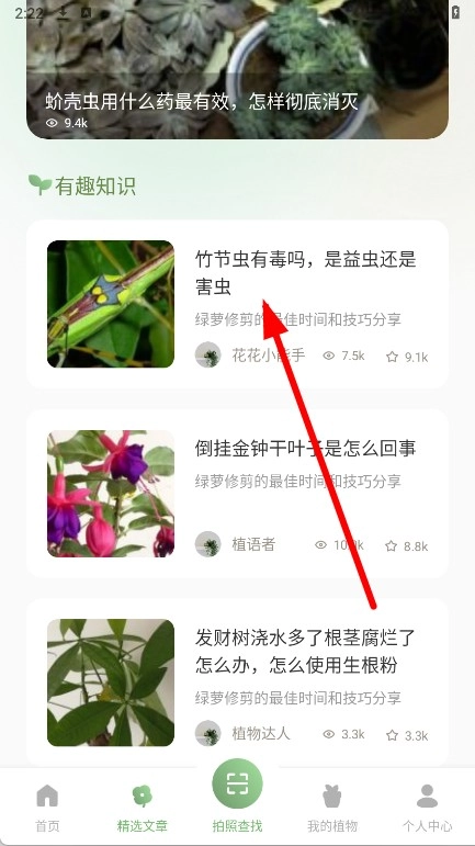 芙蓉花语软件下载