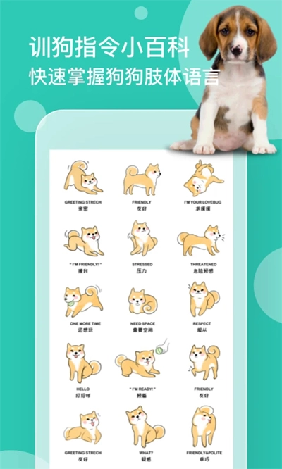 狗语翻译