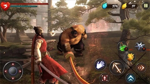 忍者武士隆最新版图2