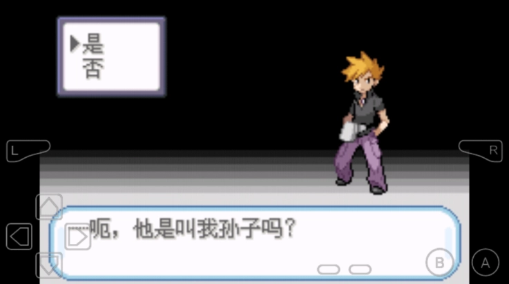 口袋妖怪不归之殇暗官方版图4