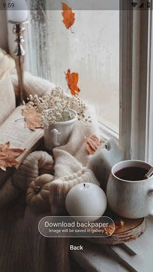 Backpaper 截图1
