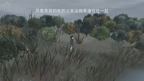 男孩与鹈鹕游戏绿色版图1