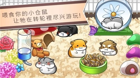 仓鼠的日常(3)