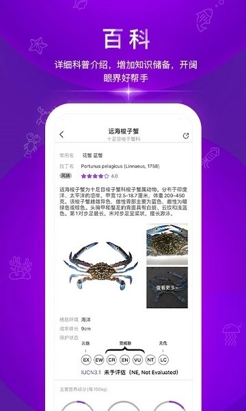 问鱼图3