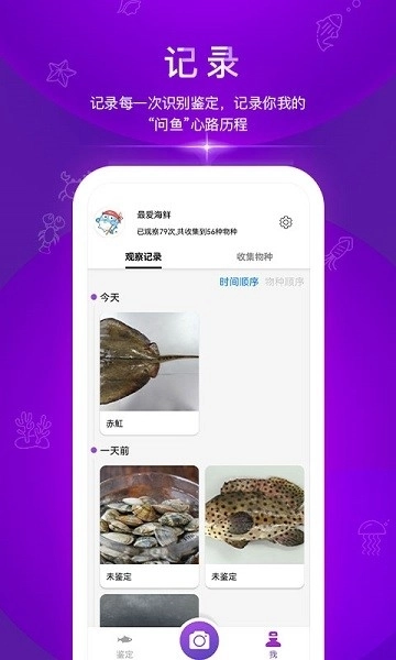 问鱼图2