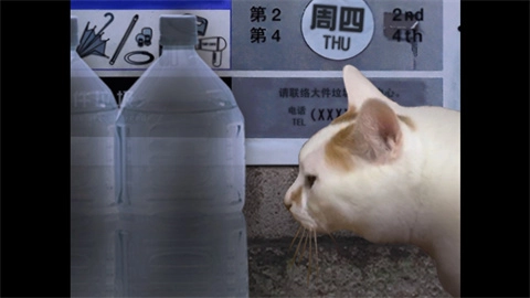 猫的一天怪奇谭