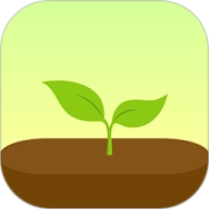 forest专注森林