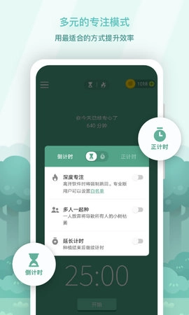 forest专注森林图3