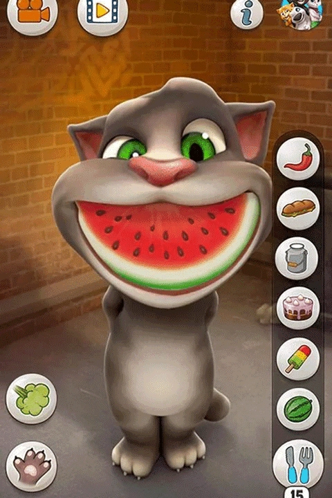 会说话的汤姆猫家族手游版图1