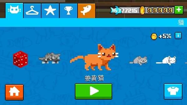疯狂破坏猫图5