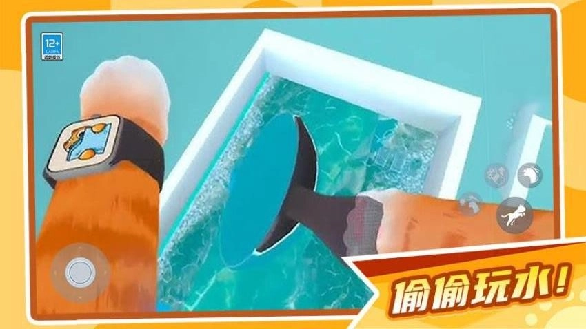 肥猫大暴走游戏