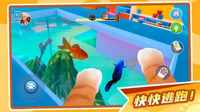 肥猫大暴走游戏