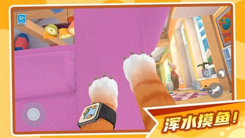 肥猫大暴走游戏