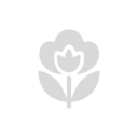 成長樹之路 V1.0.0