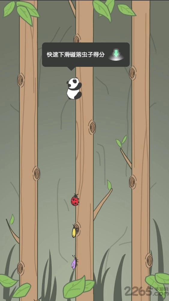 熊猫爬树截图2