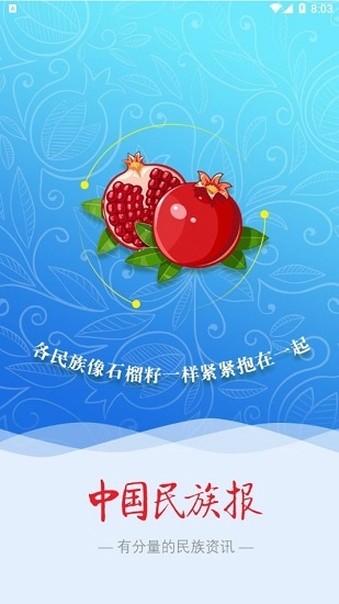中国民族报图4