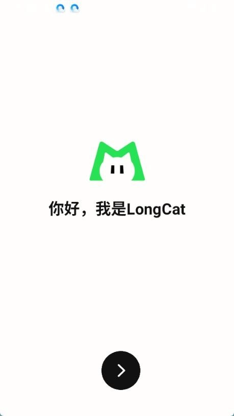 LongCat图1