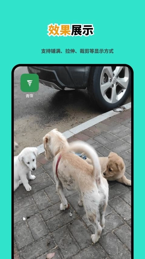 青萍最新版图1