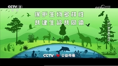 柠檬tv最新版