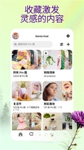 pinterest中文极速版