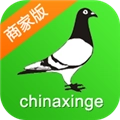 中国信鸽信息网商家版