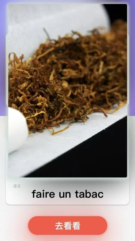 西班牙语翻译手机版图4