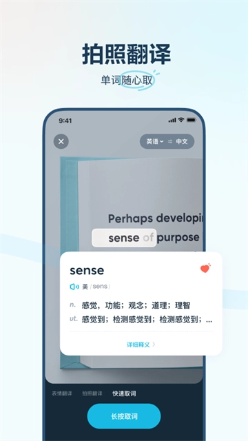 有道翻译官在线翻译 (2)