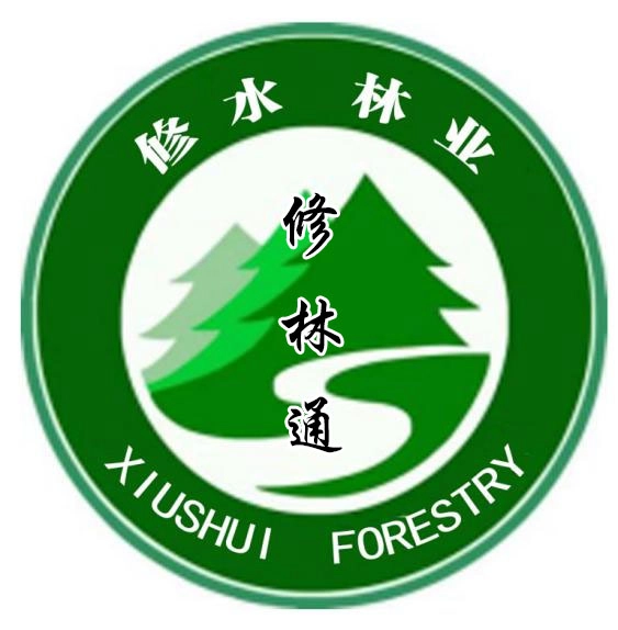 修林通安装最新版