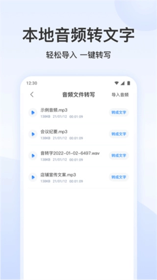录音文字转换专家