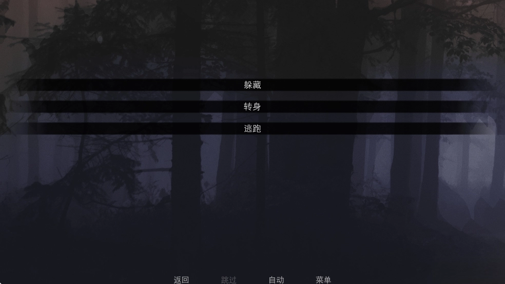 无处可藏游戏中文版