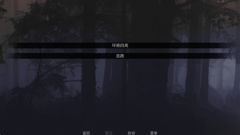 无处可藏游戏中文版