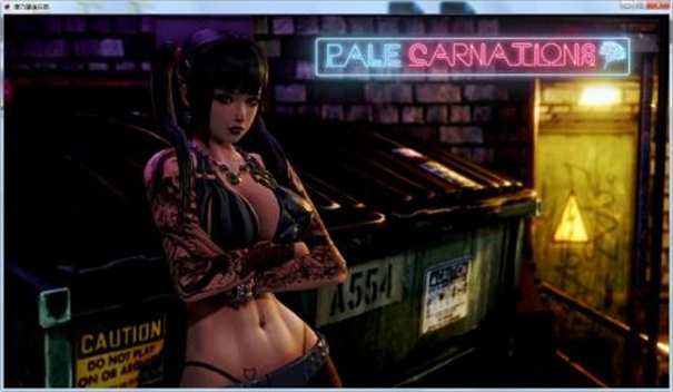 康乃馨俱乐部免费原版(3)