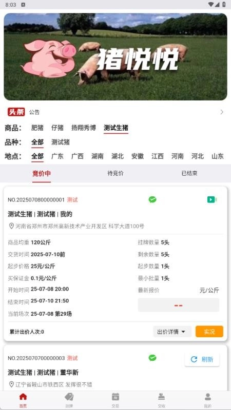 猪悦悦图2