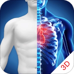 3d人体解剖图谱安卓版