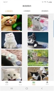 宠猫狗翻译图1